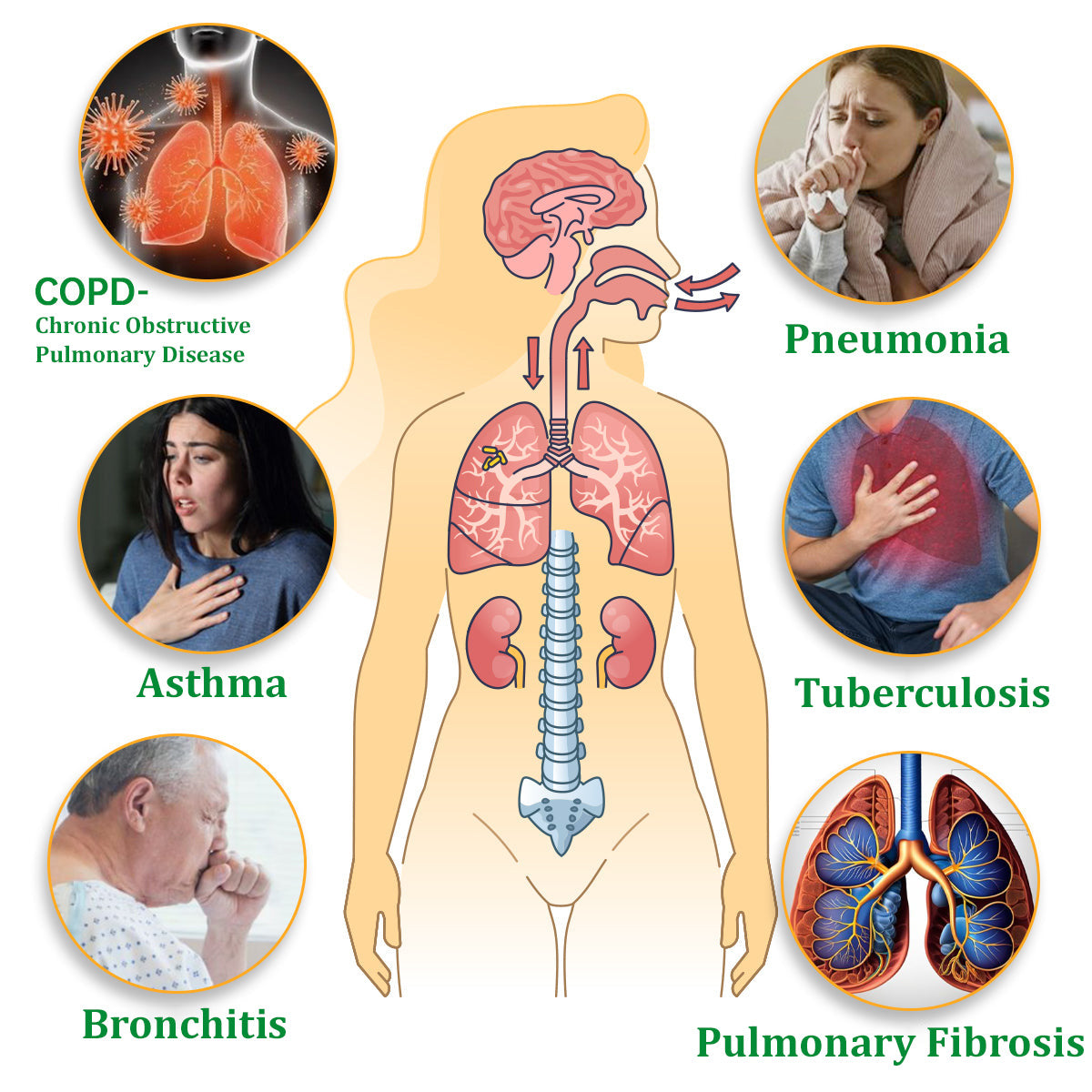 ✅Official Store: Herbal Lung Cleansing Inhaler