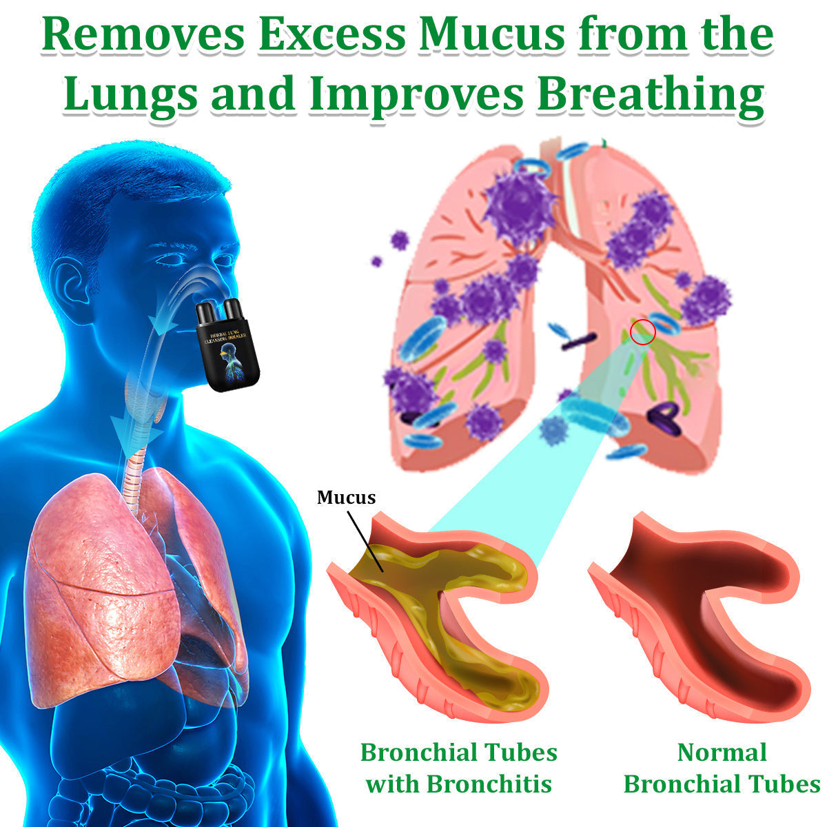✅Official Store: Herbal Lung Cleansing Inhaler
